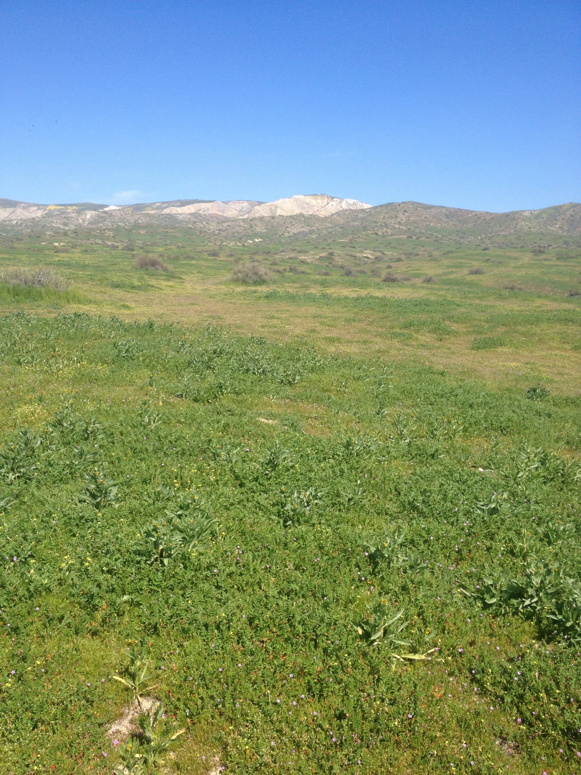 Success Story – Our Society has been saving our heritage since 1972!