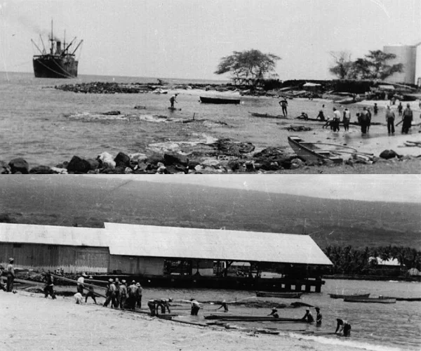 From the Collections of Kona Historical Society.