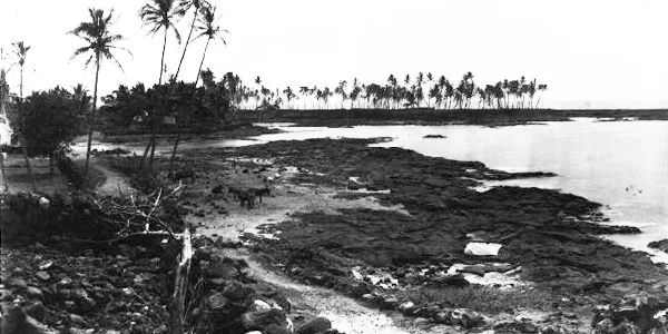 From the Collections of Kona Historical Society.