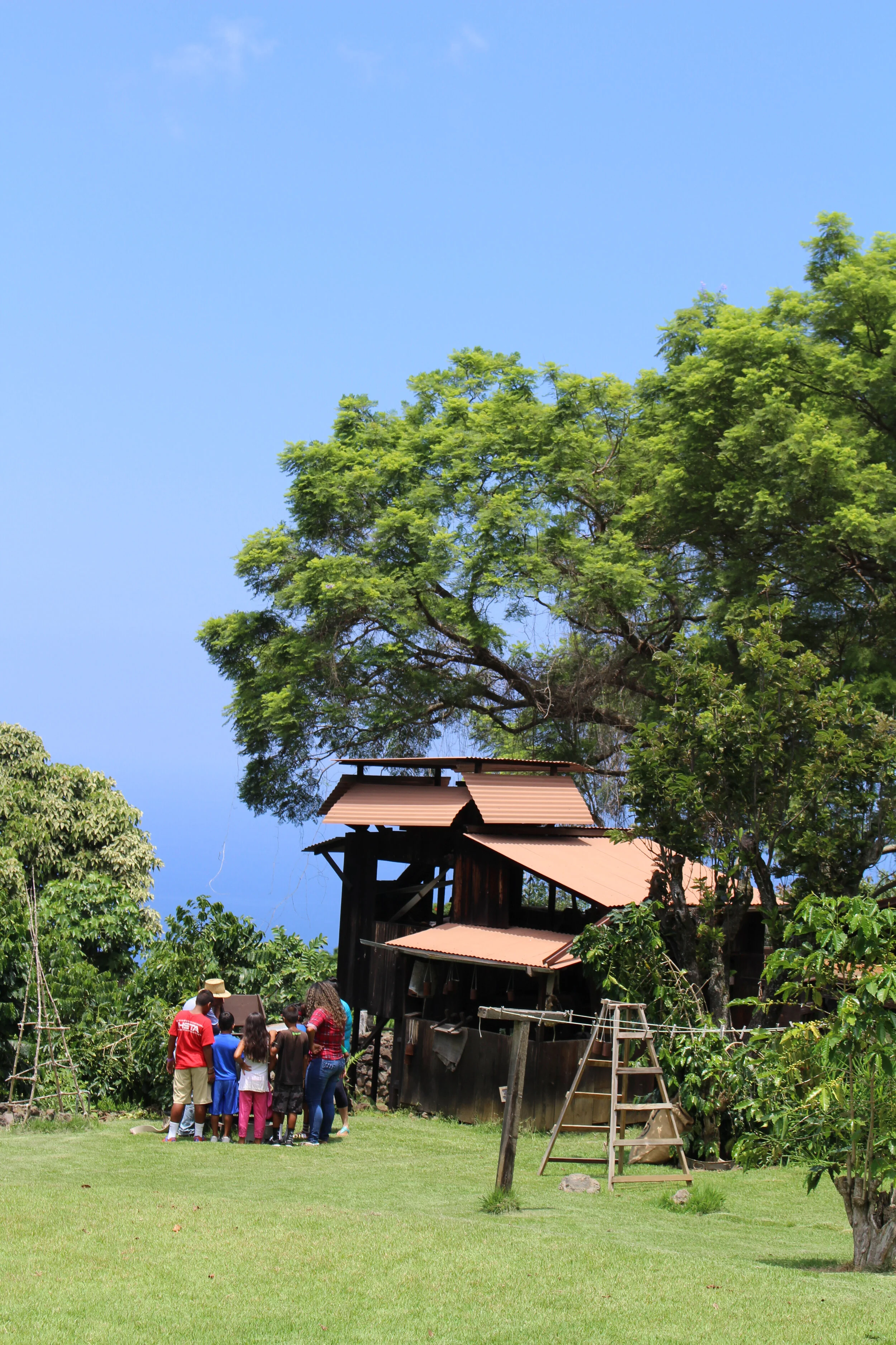 Kona Historical Society Announces Holoholo Saturday In February 