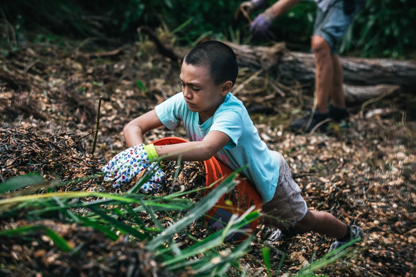 Landscapes &amp; Learning