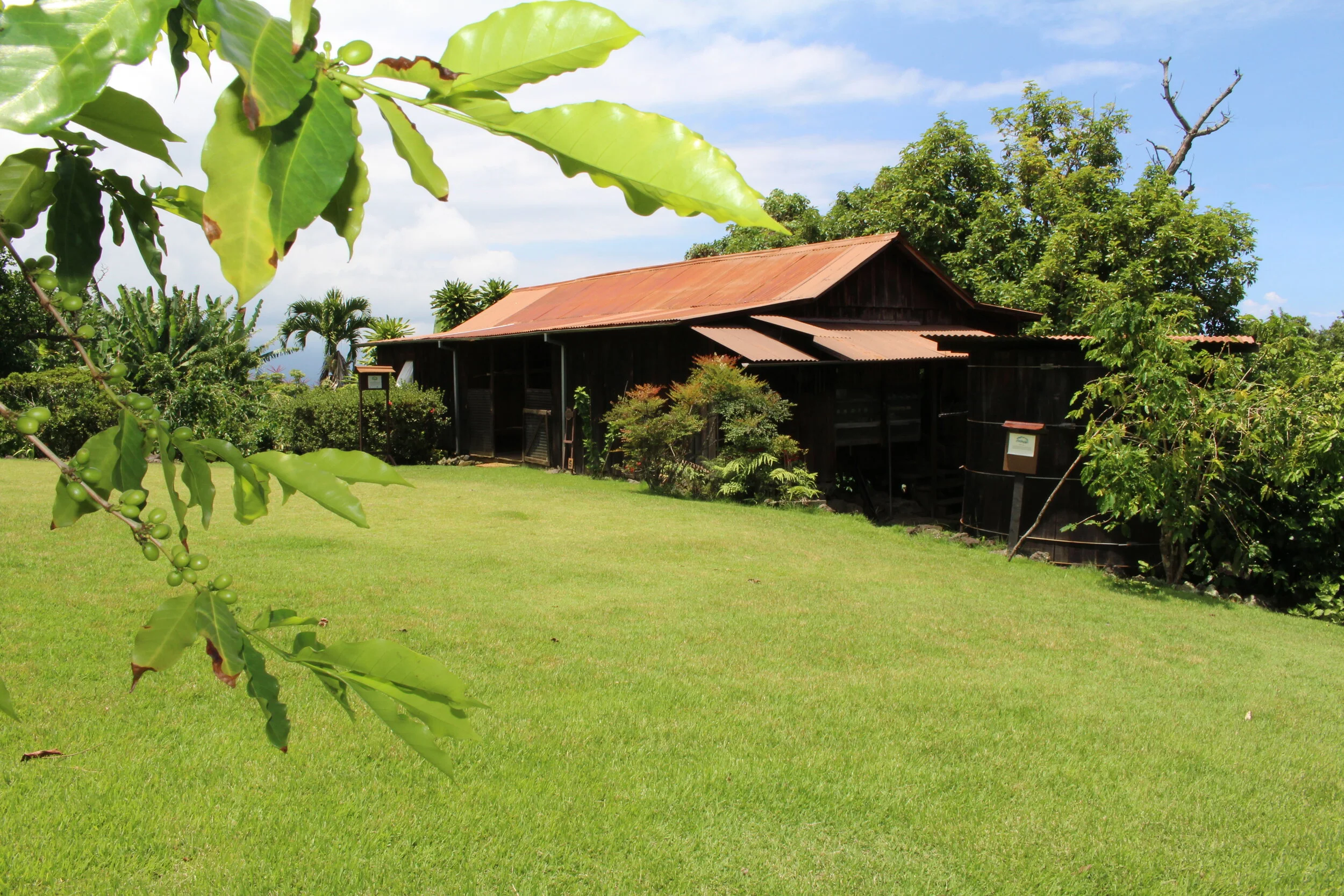 Renovation of nearly 100-year-old farmhouse set to begin this summer