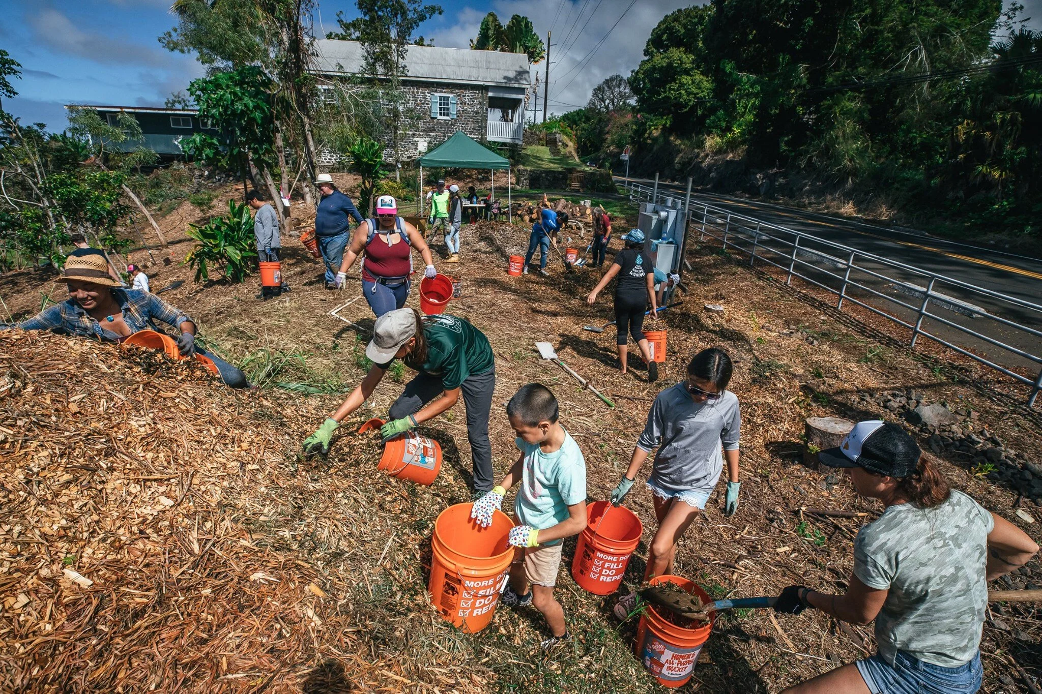 Volunteers Needed to Help Restore Kona Historical Society’s Native Forest Exhibit