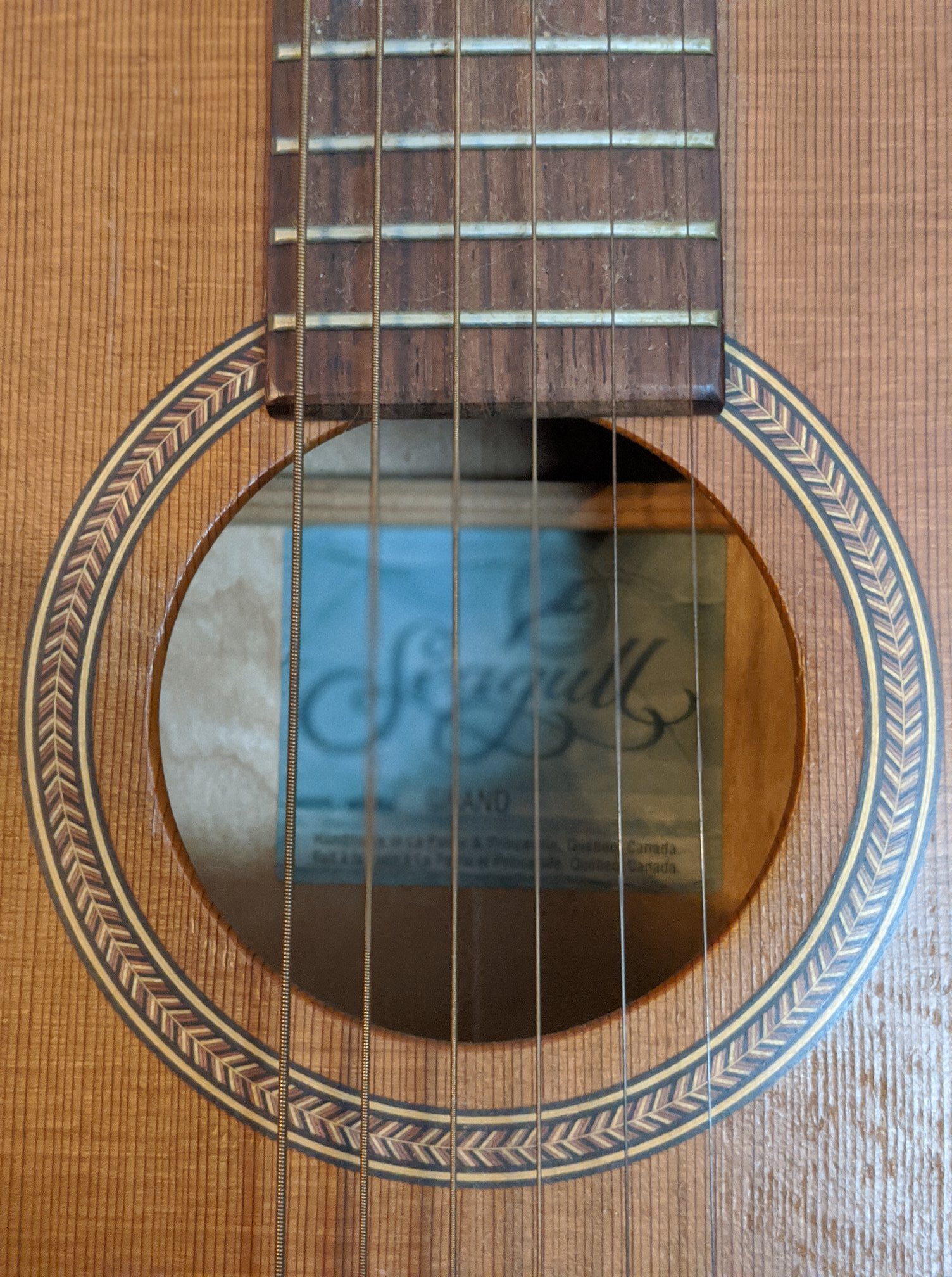 21-Year-Old Guitar (Copy)