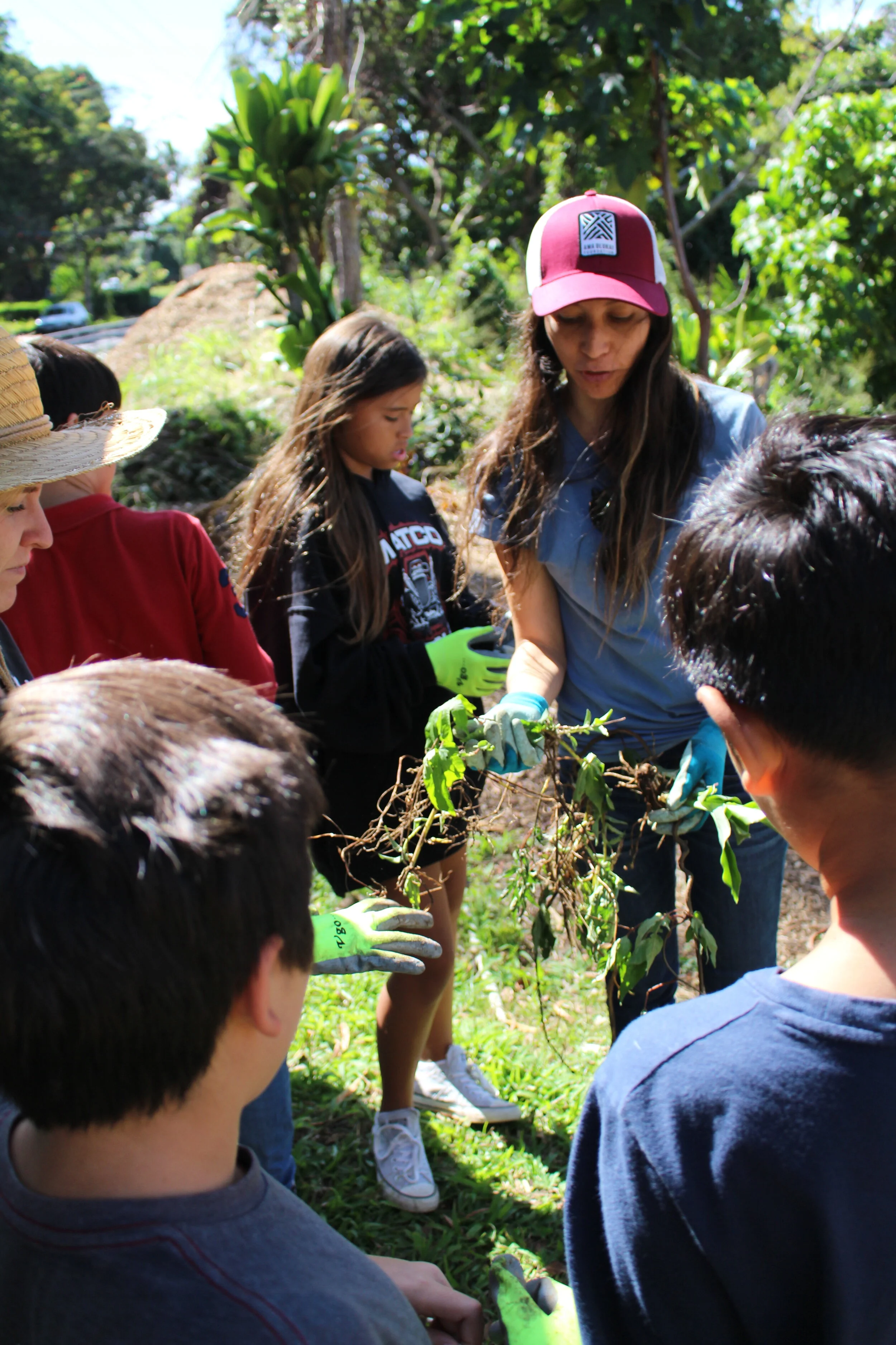 Digital Copy of Spring 2020 Issue