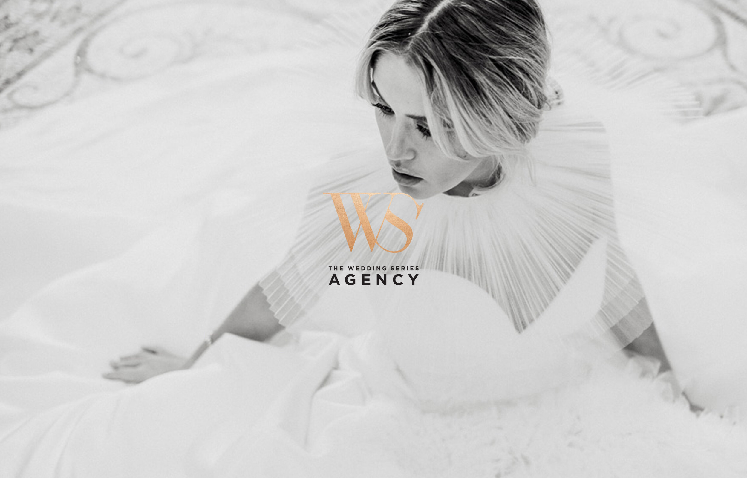 tws-banner-3.jpg