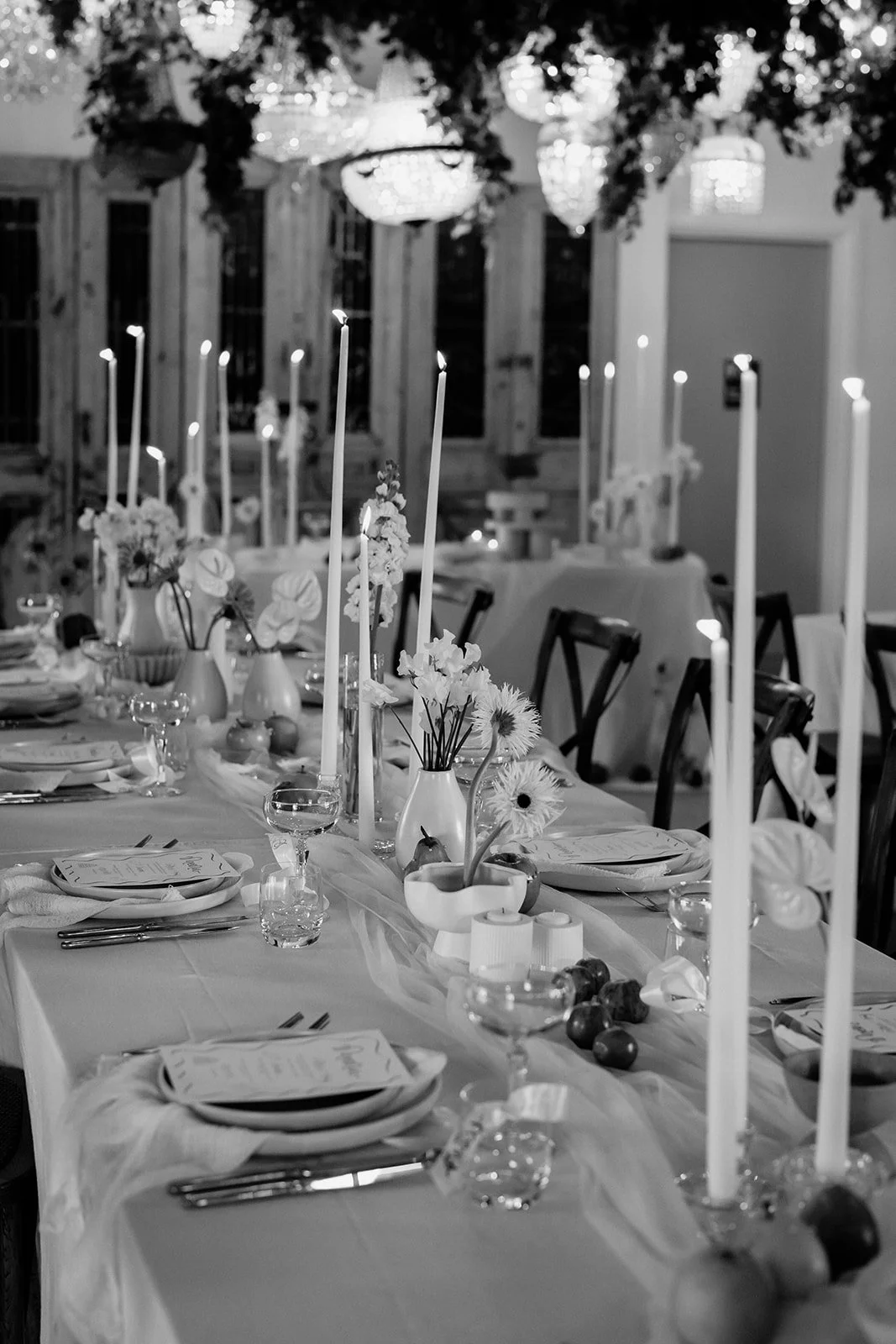 Lea &amp; Lens Photography