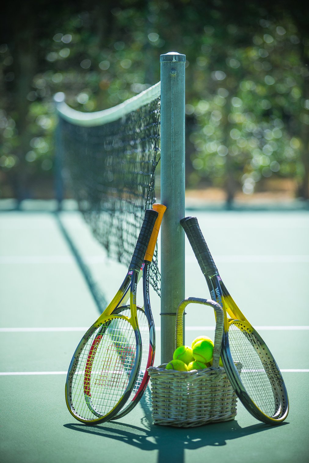 WCE - Rackets and balls portrait.jpg