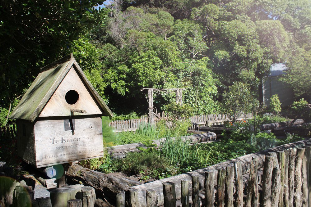 WCE - Herbs garden & birdhouse .jpg
