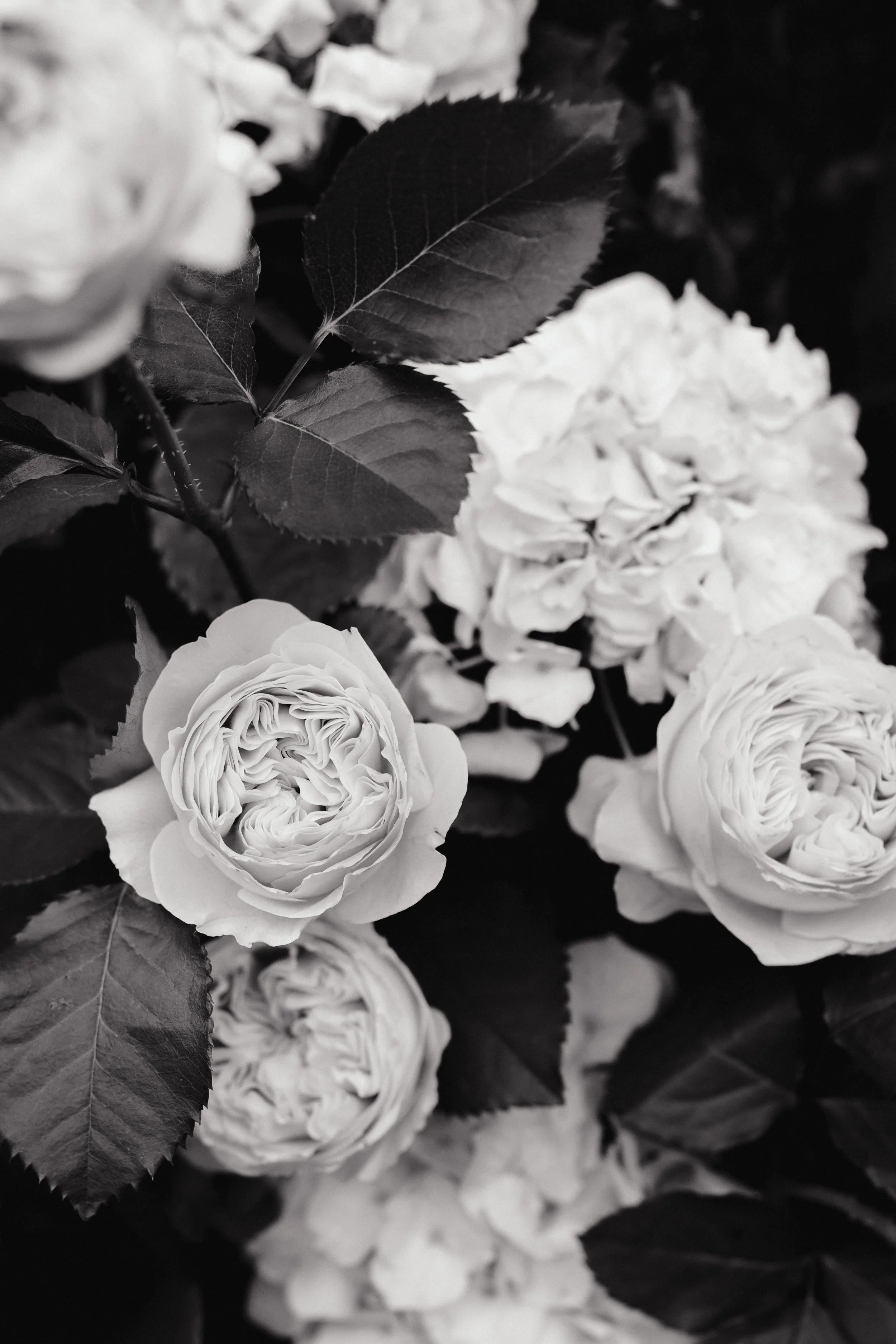 Hotel Amore Garden House-5487.jpg