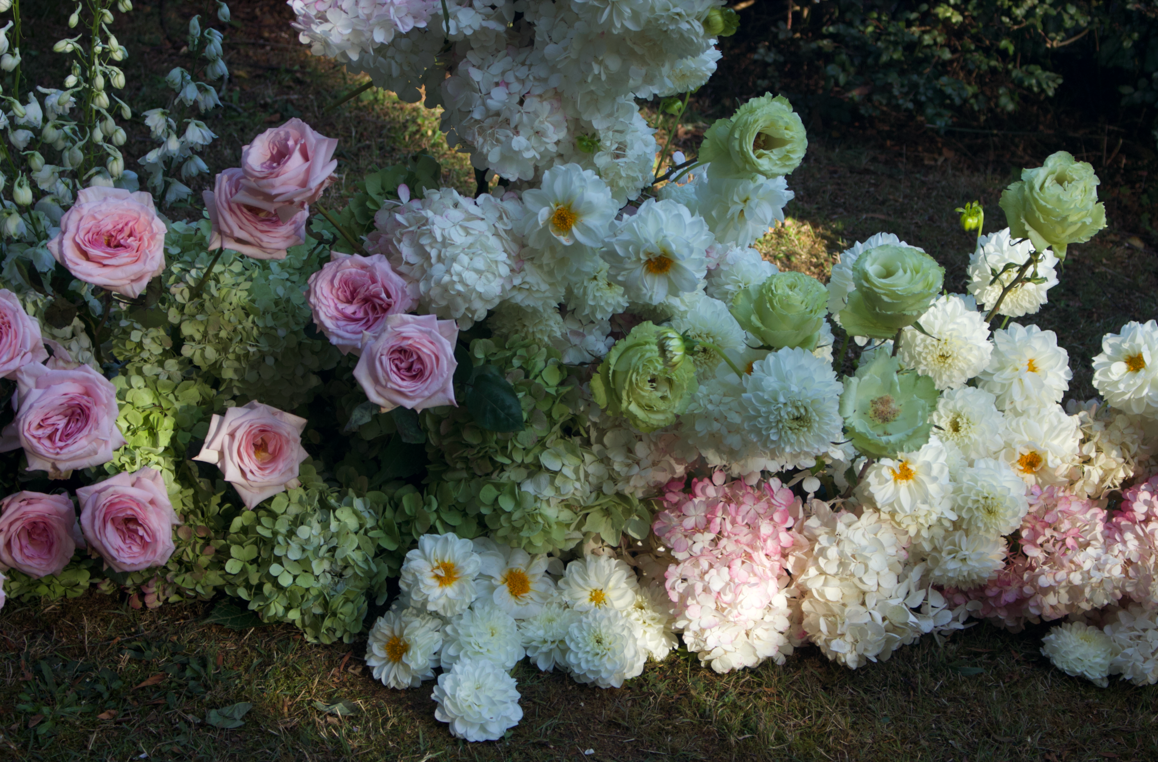 TWS Concierge - Petal & Sage