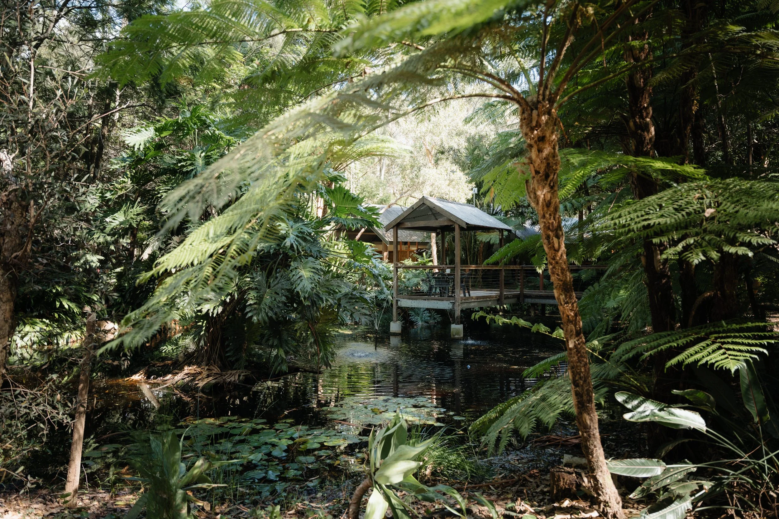 72 - 04-15-2025 Sarah & Jayson Brakel WEDDING The Oasis Port Stephens 753528.jpg