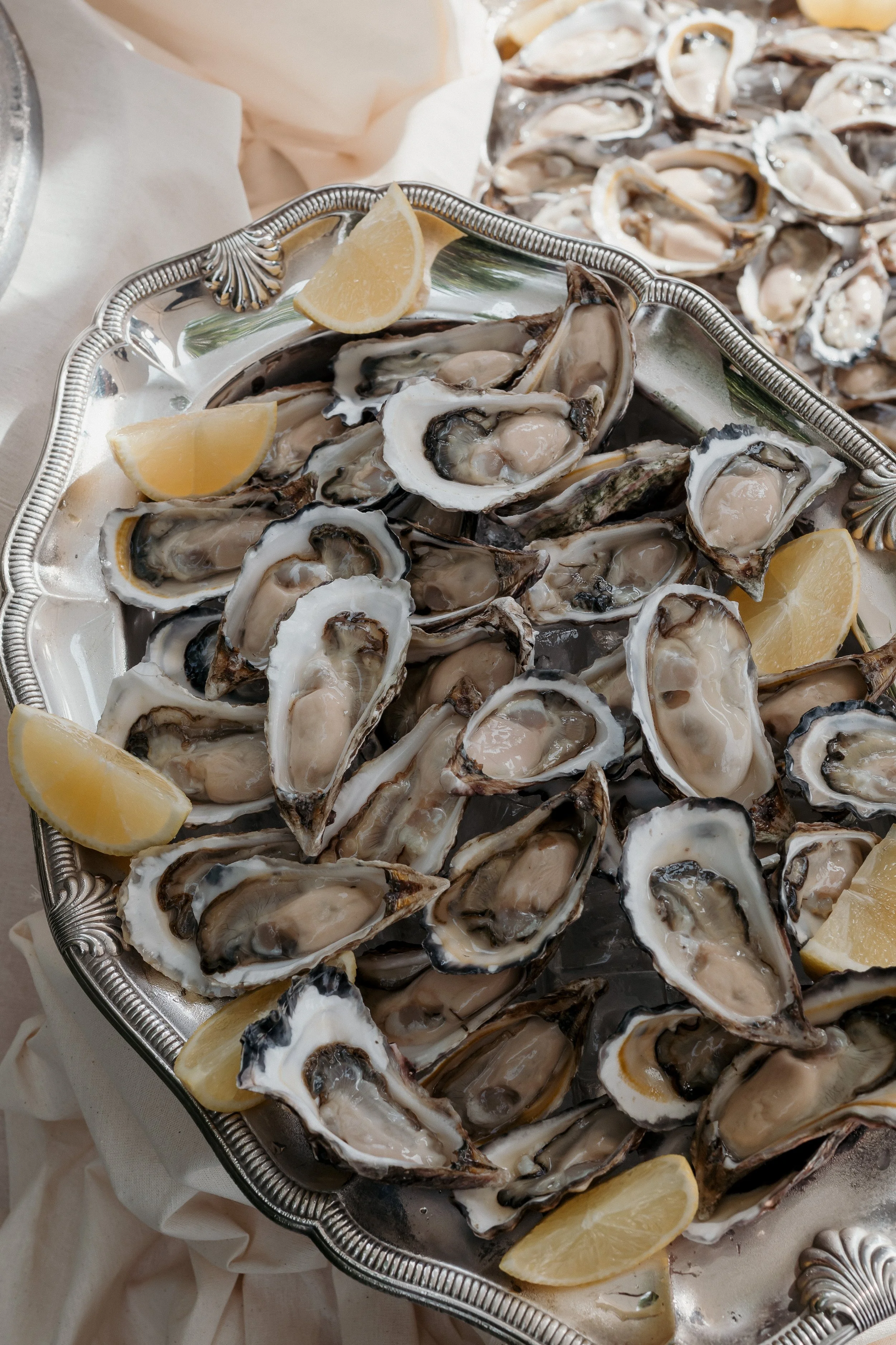 Jason Corroto Photo (96 of 413).jpg