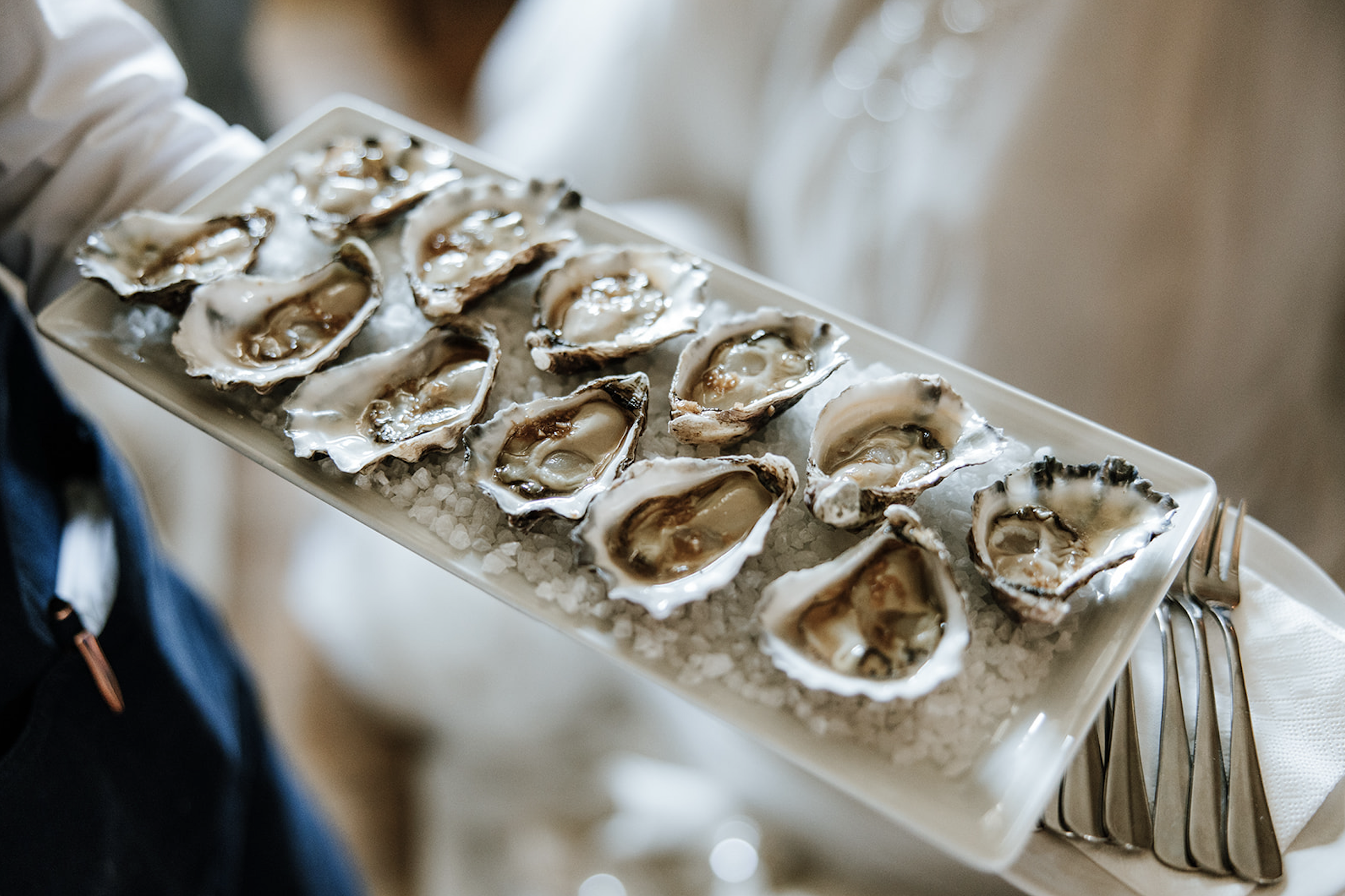 Screenshot 2026-03-28 at 11.45.27 am.png