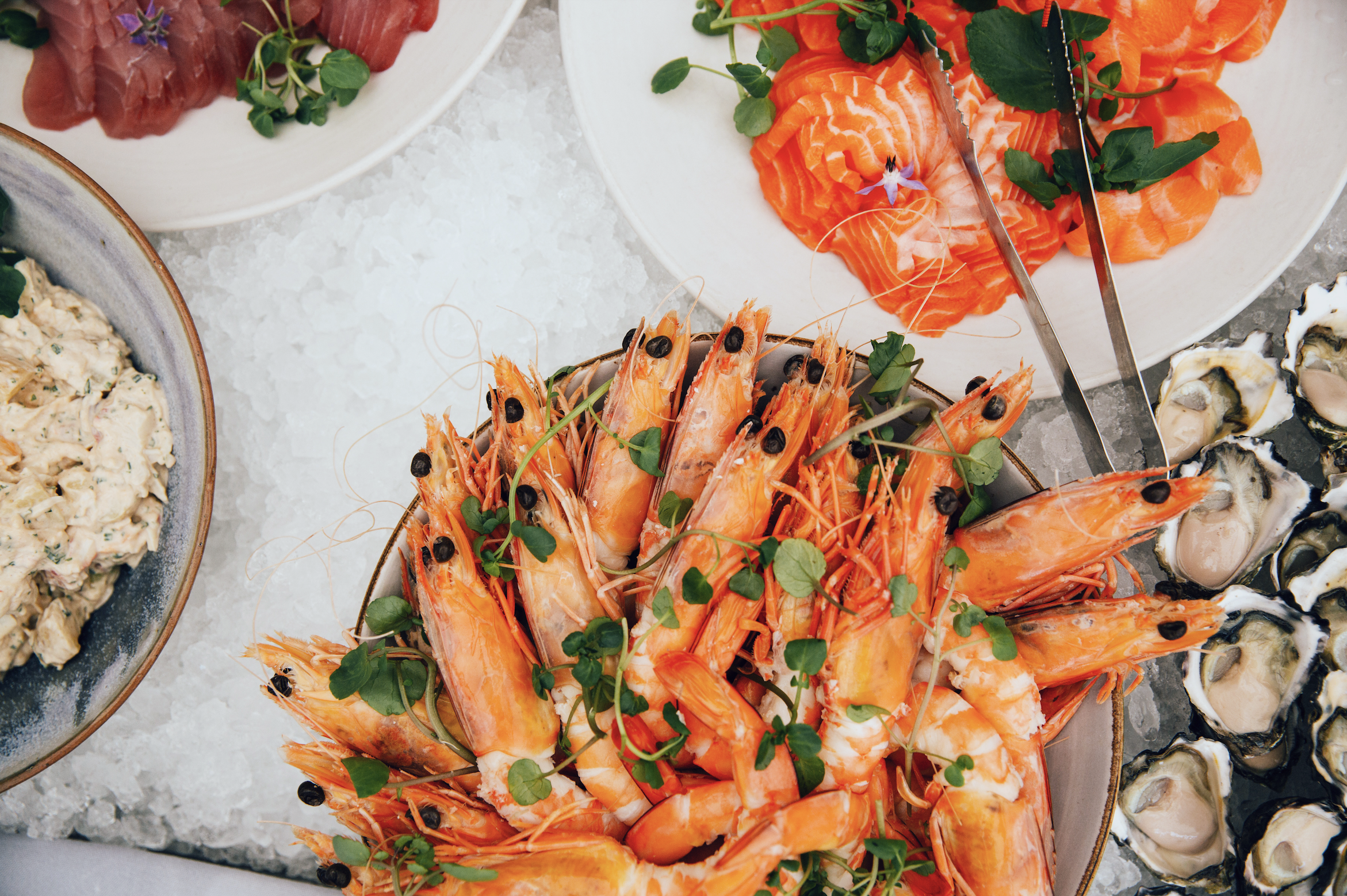 Screenshot 2026-03-28 at 11.46.50 am.png