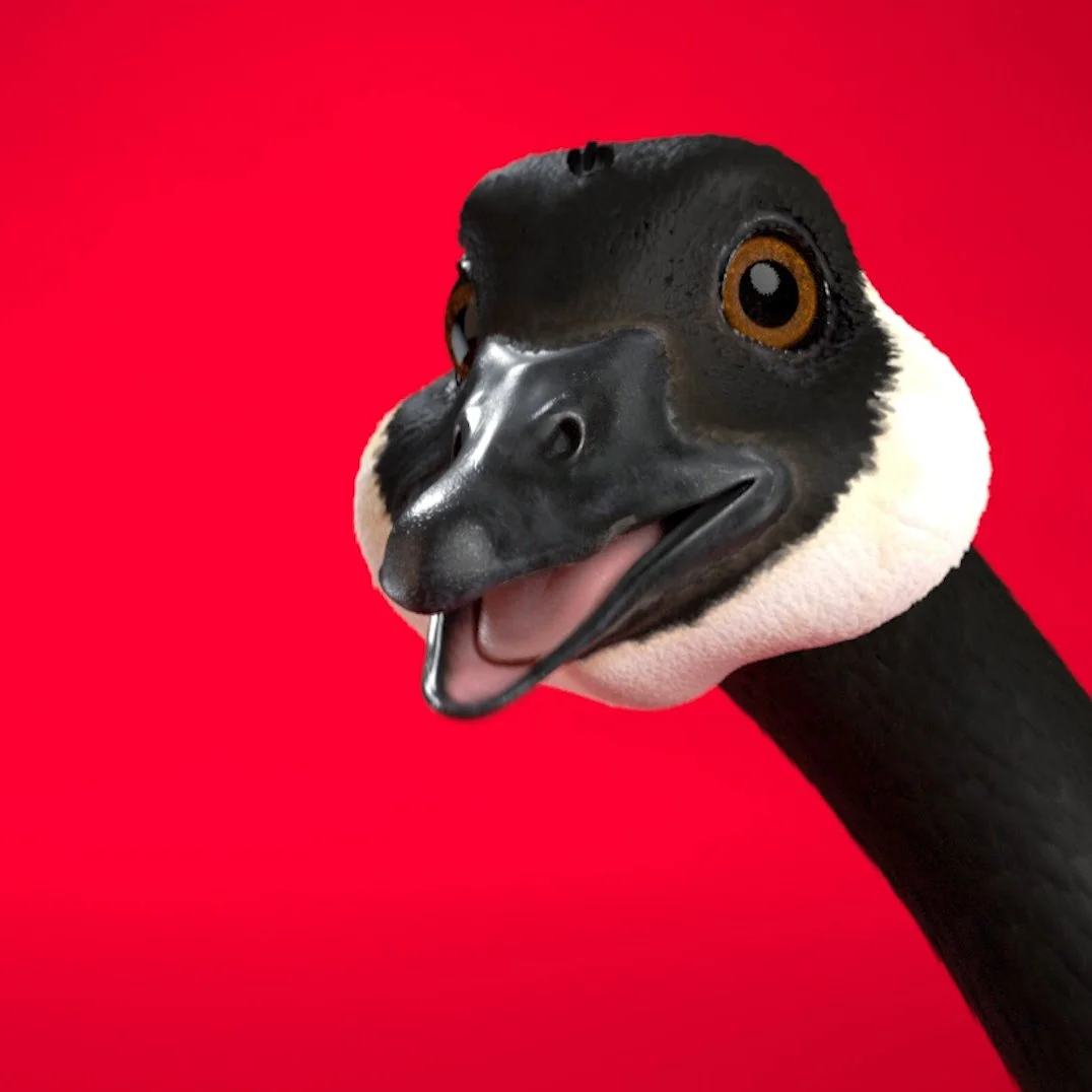 Petro-Canada Give A Honk