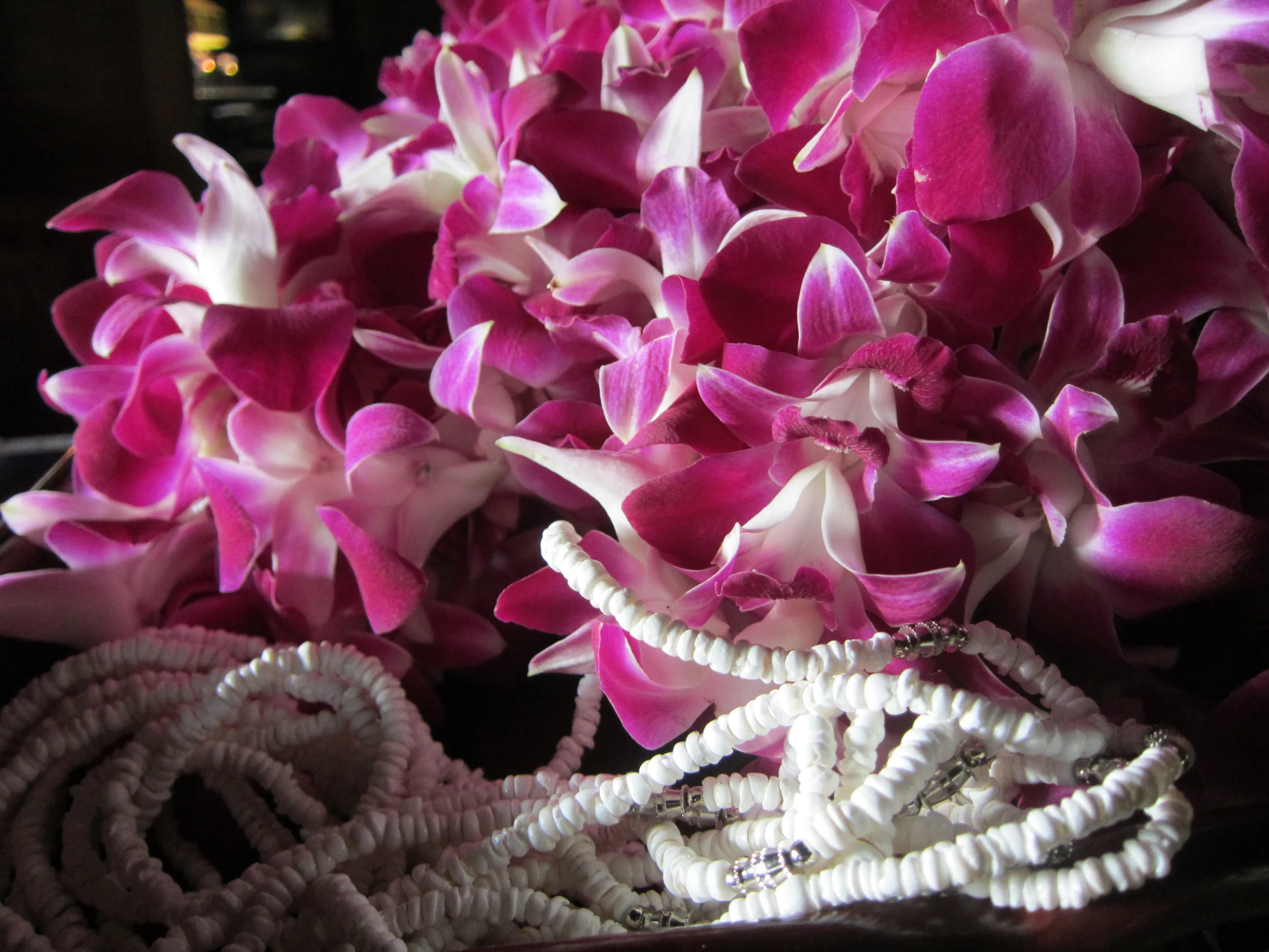 Sacred sea bundle offering to Gaia  Maui retreat