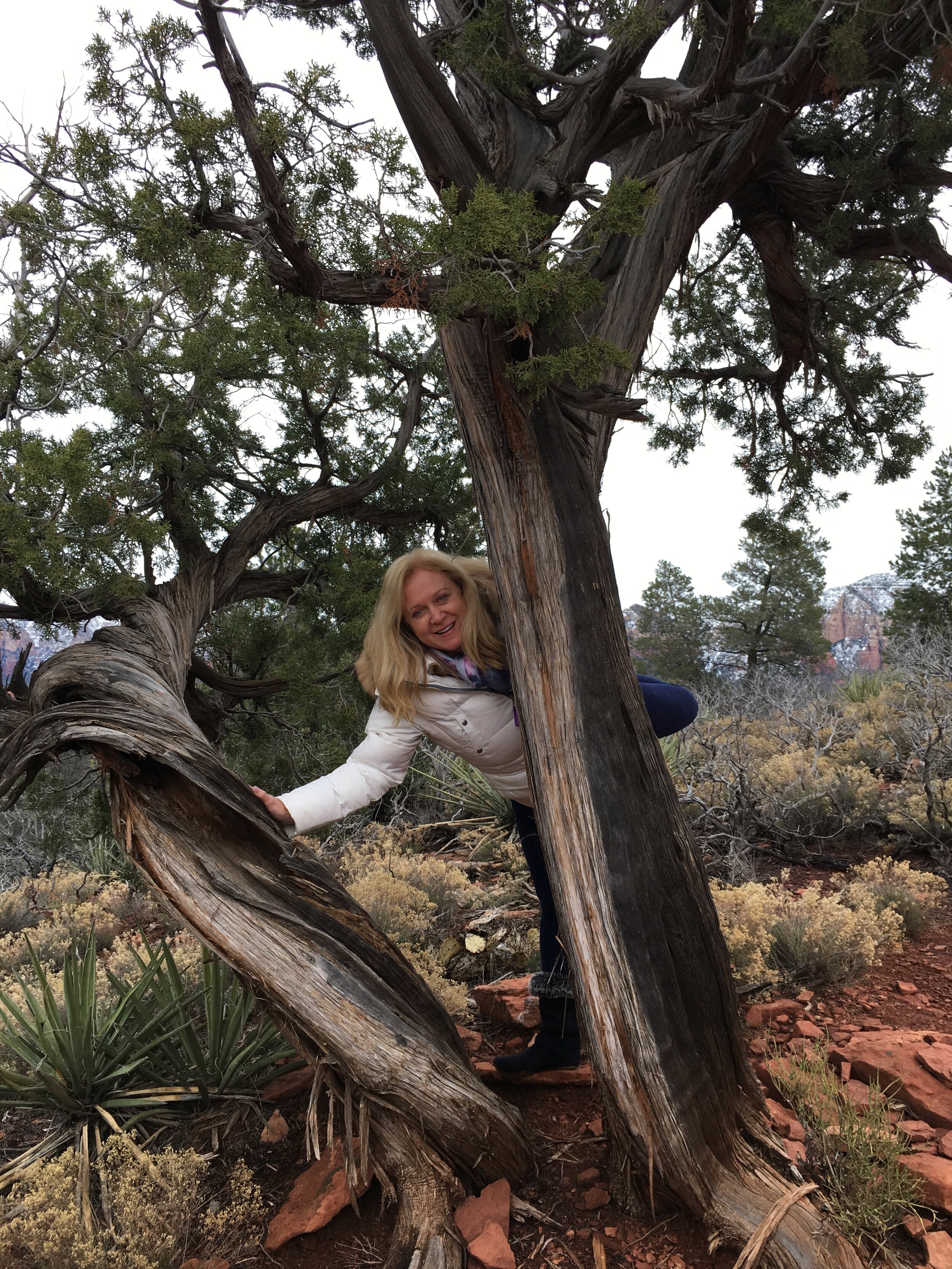Sedona Goddess Retreat Mystic Vista summit