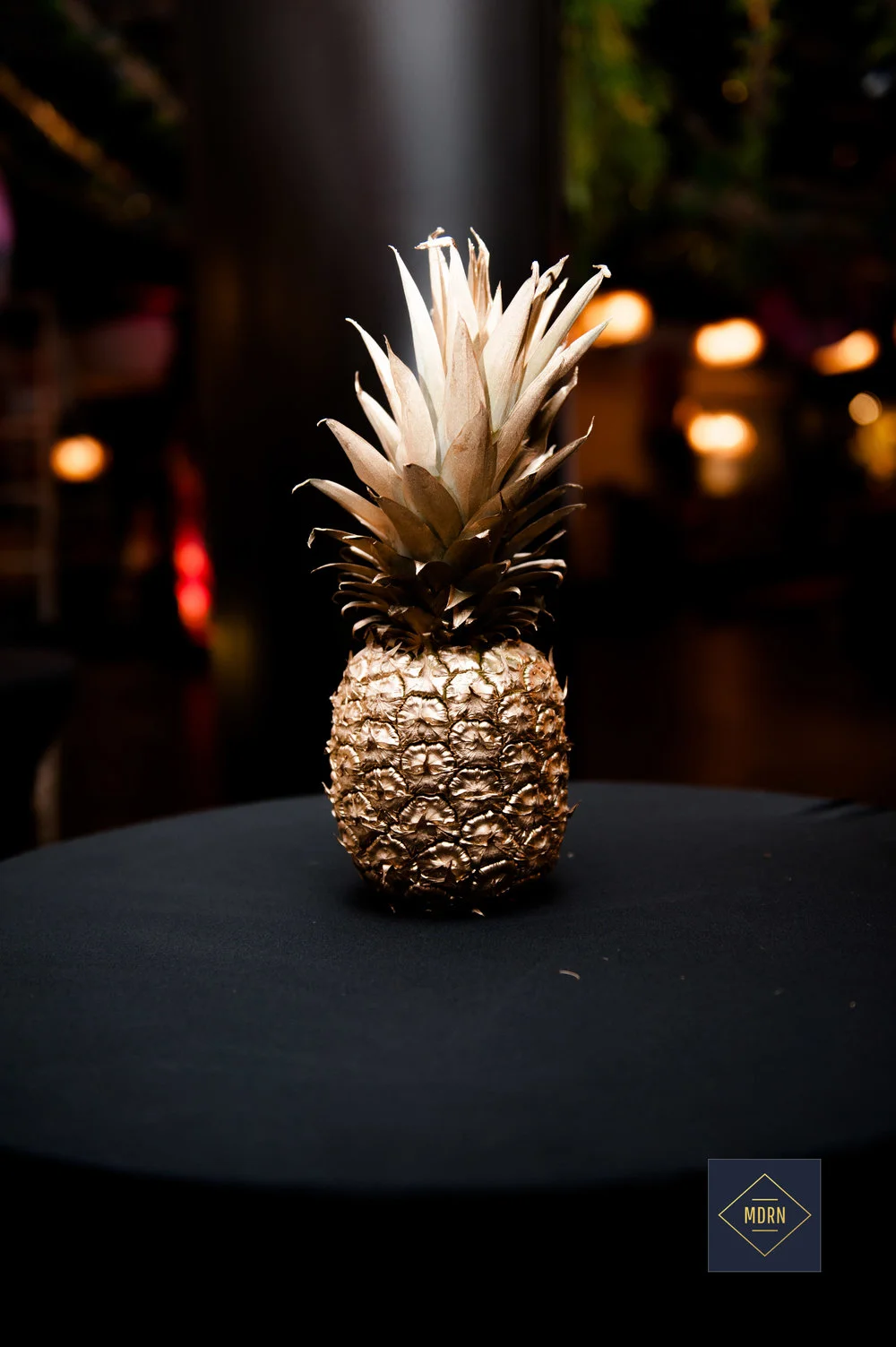 ad6c2-mdrn_boobyball_branded-7043.jpg