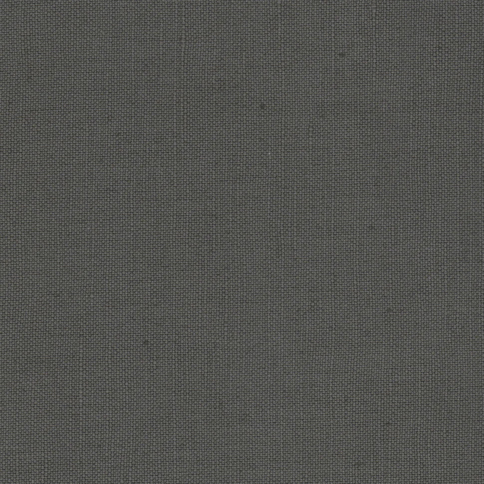 15-106Hathi_Gray.jpg