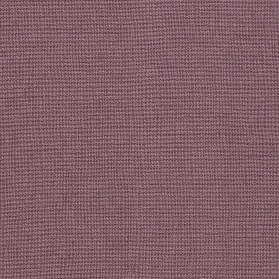 15-109Anjeer_Lilac.jpg