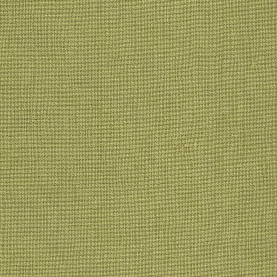 15-113Parrot_Green.jpg
