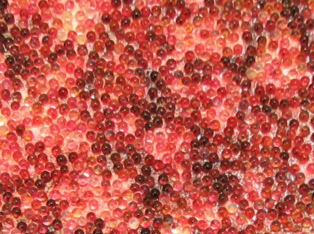 Bedazzled Custom Mural Flexible Glass Bead Wallcovering