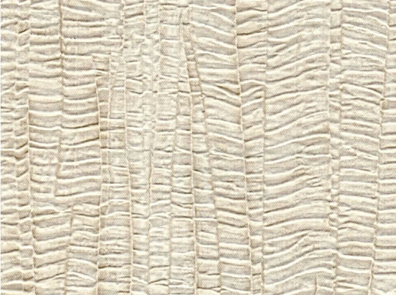 CINCHED MAIN PAPYRUS.JPG