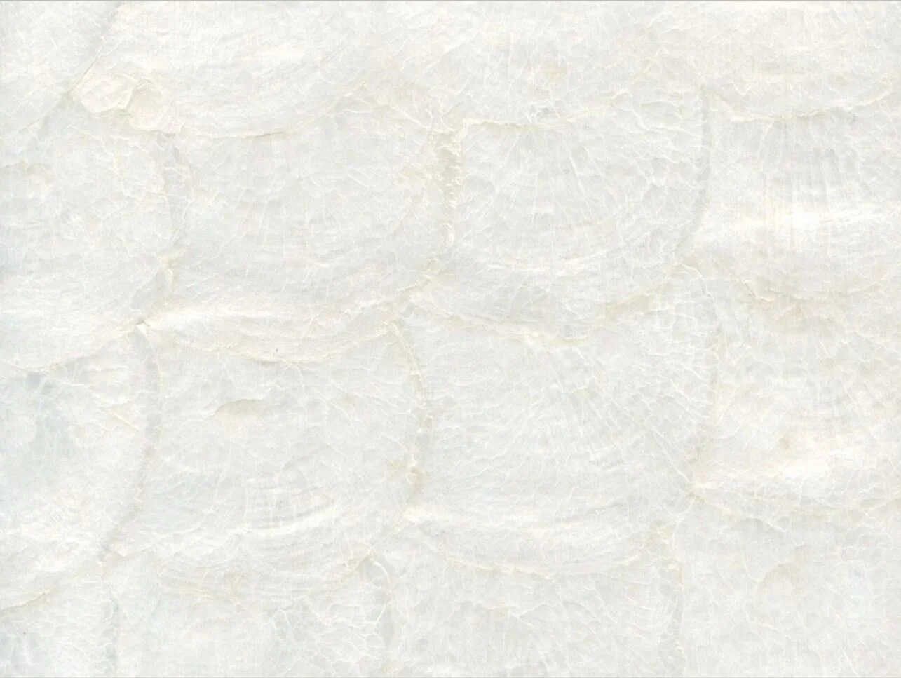 FLEXI MOP APHRODITE MAIN NATURAL.JPG