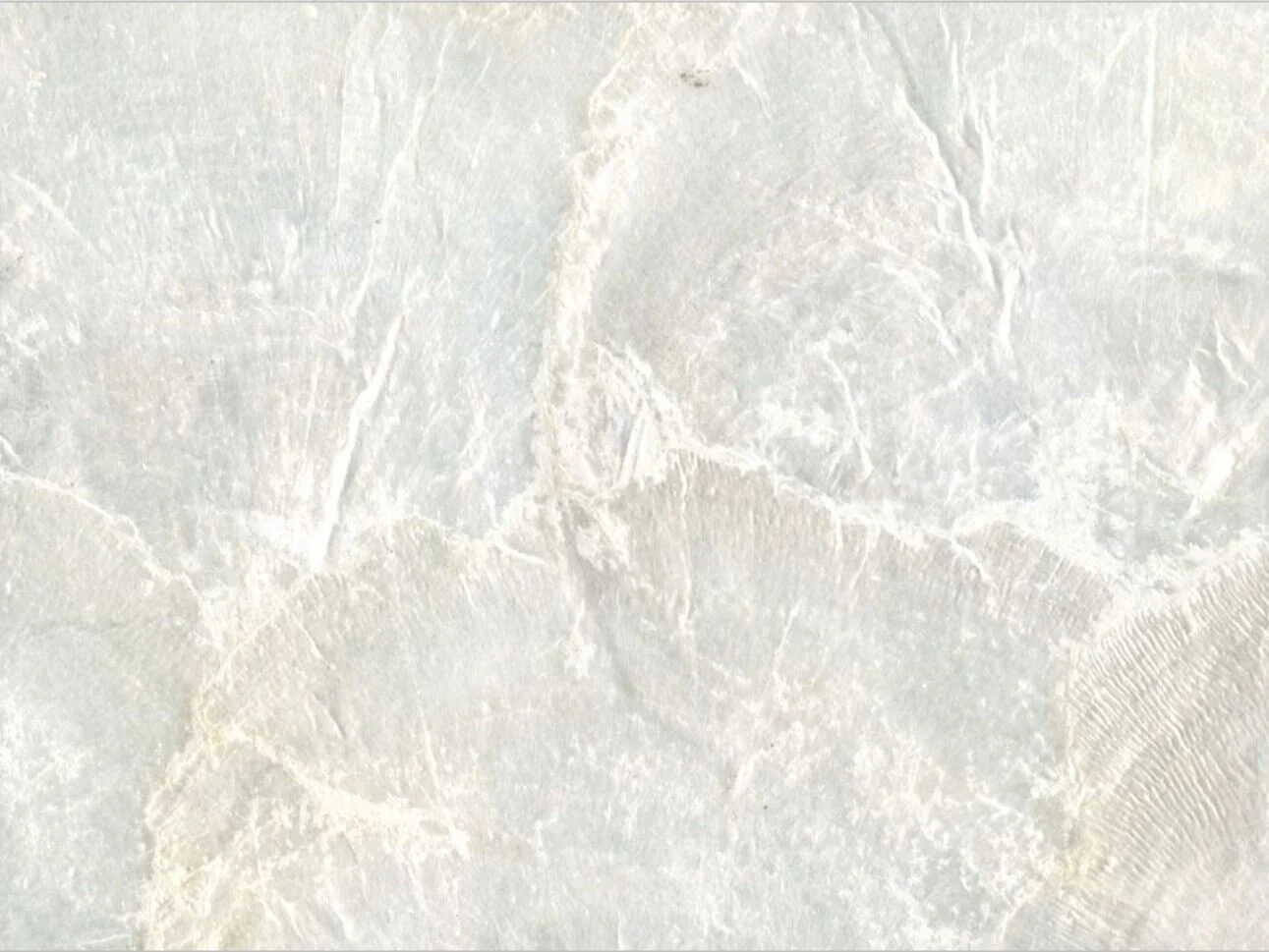 MOP APRHODITE MAIN.JPG