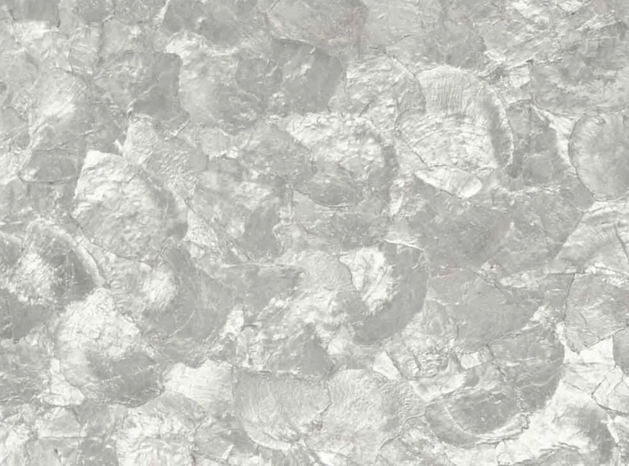 Mother of Pearl On the Half Shell (4 colors) Tiles of Genuine Seashell