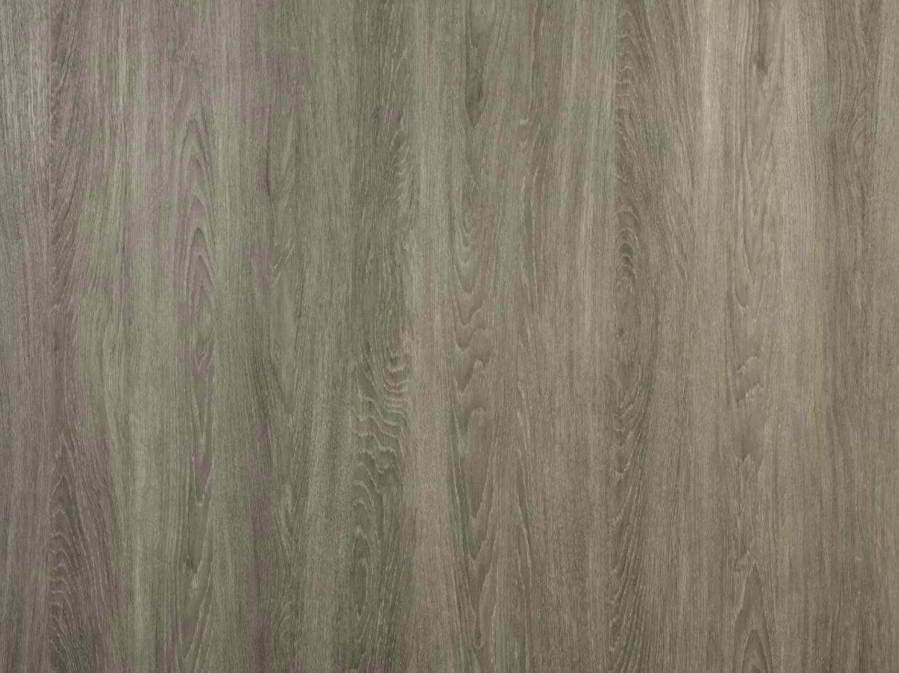 NATURAL ELEMENTS MAIN2.JPG