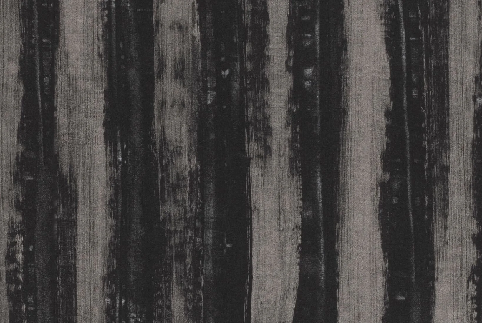 Splendid Stripes 099.JPG