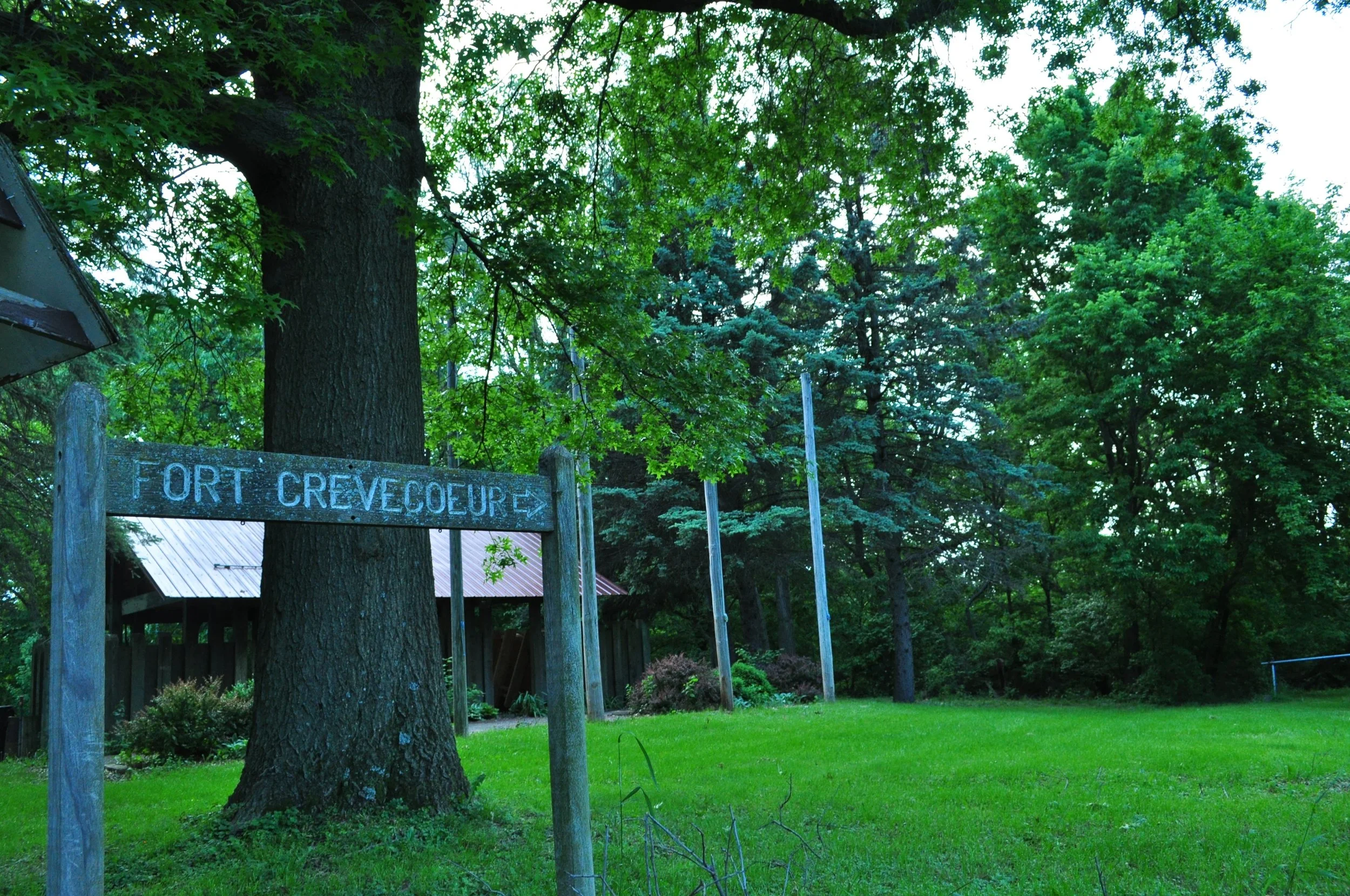DSC_0503.jpg