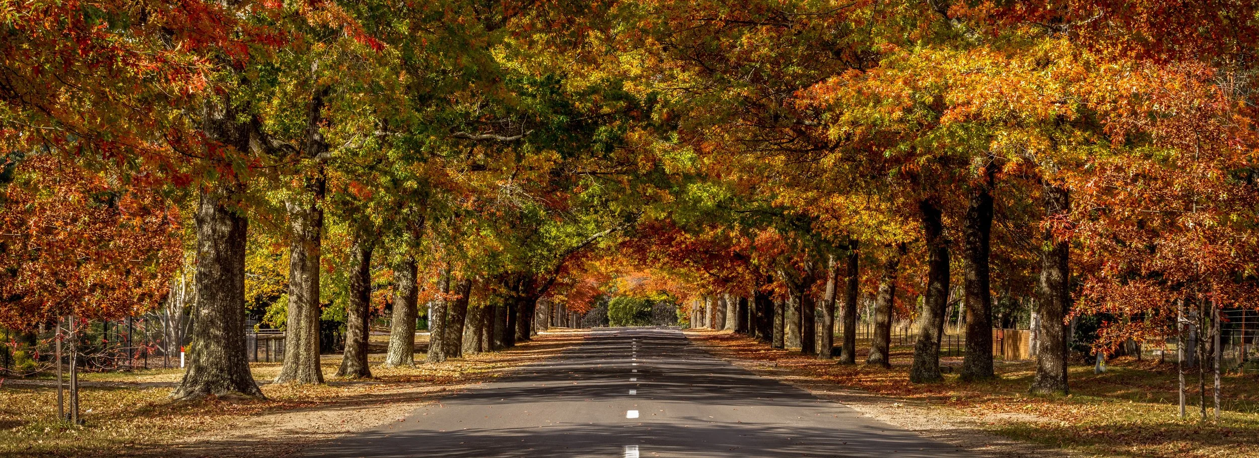 iStock-1126846675-updated.jpg