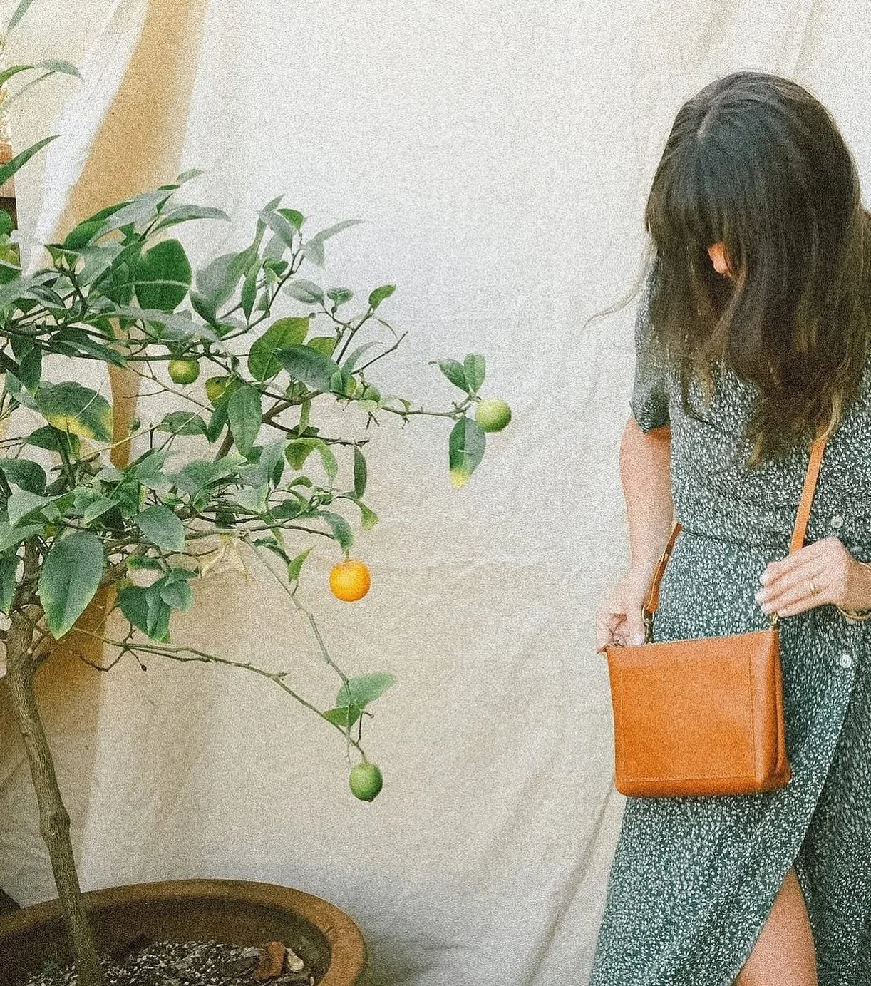 #throwbackthursday to the Francis