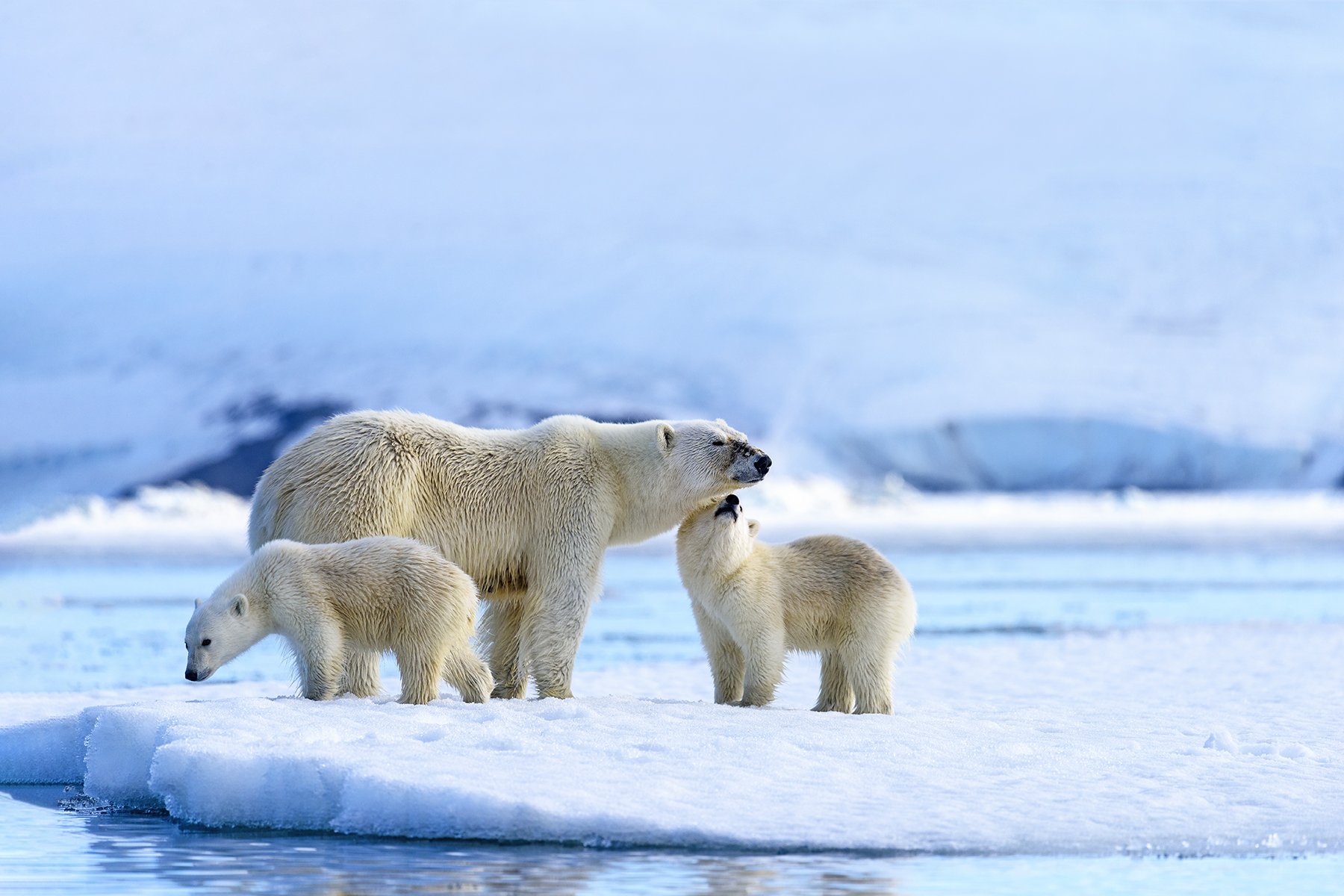 McLennan_Spitsbergen_17_0023.jpg