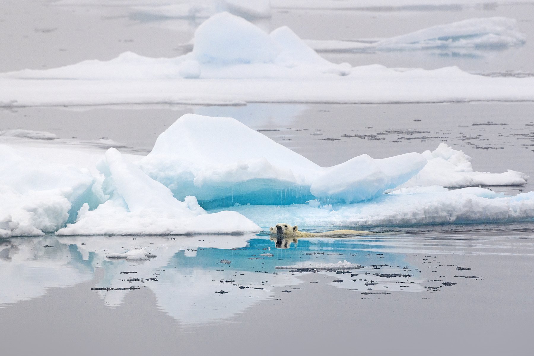 McLennan_Spitsbergen_19_011.jpg