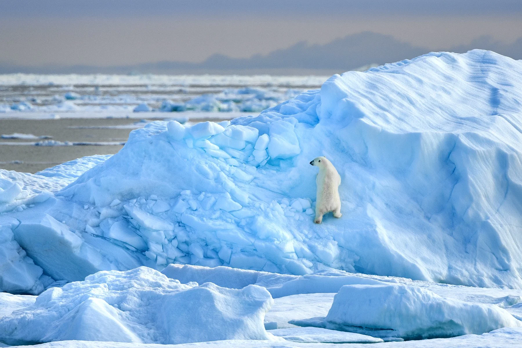 McLennan_Spitsbergen_19_017.jpg