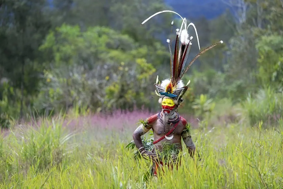 The vibrant colors of the Huli Wigmen in the Papua New Guinea highlands. 

The ornate headgear is crafted from the feathers of birds of paradise and local parrots woven into wigs of human hair.  A spectacle that has to be seen to be believed. 

Limit