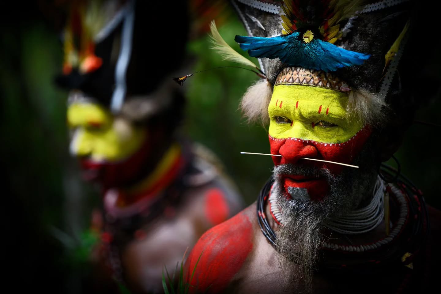 The vibrant Huli Wigmen of the Papua New Guinea highlands. 

The ornate headgear is crafted from the feathers of birds of paradise and local parrots woven into wigs of human hair.  A spectacle that has to be seen to be believed. 

Limited space avail