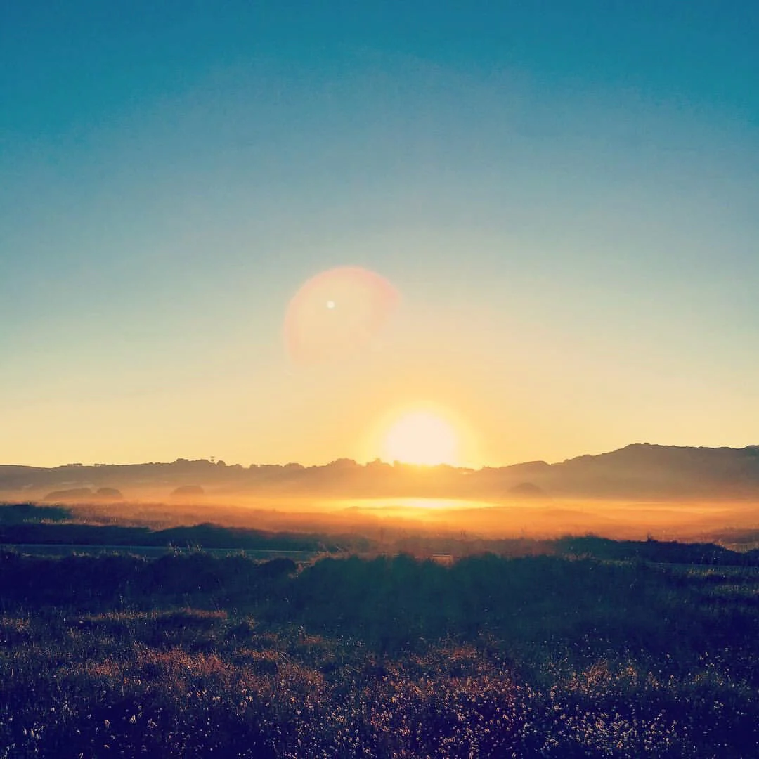 Daily experiments are where it's at right now