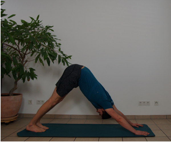 Adho Mukha Svanasana.png