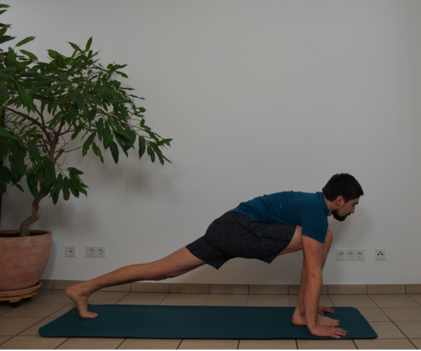 Ashwa Sanchalanasana links vorne.png