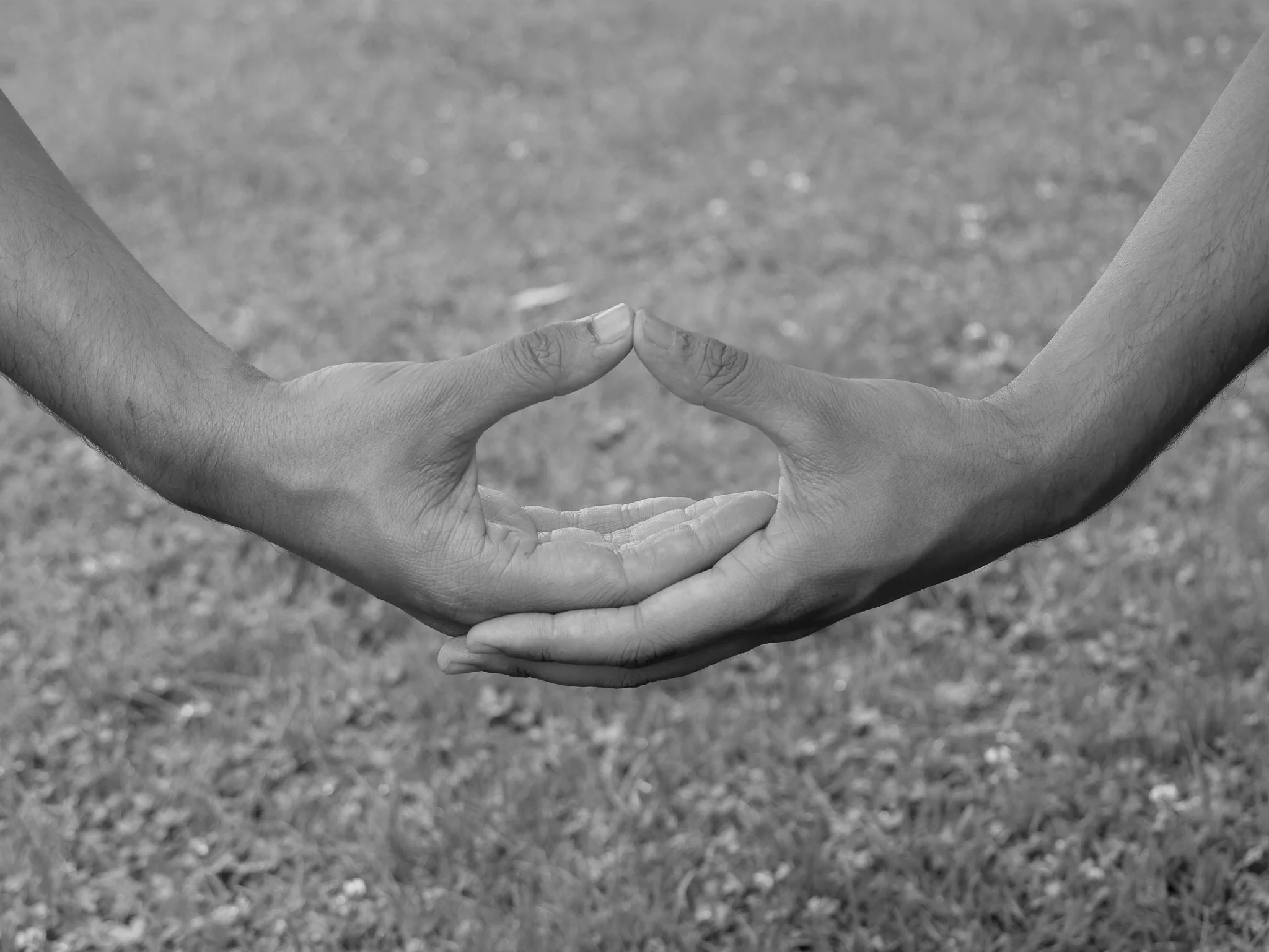 Das Dhyani-Mudra zeigt die spezifische Handhaltung, die zur Förderung von innerem Frieden und Achtsamkeit in der Meditation beiträgt.