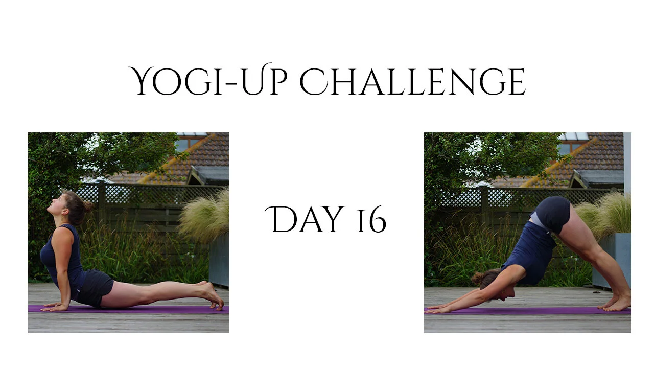 Tag 16: Rückwärtsbeugen &amp; Schulterkräftigung