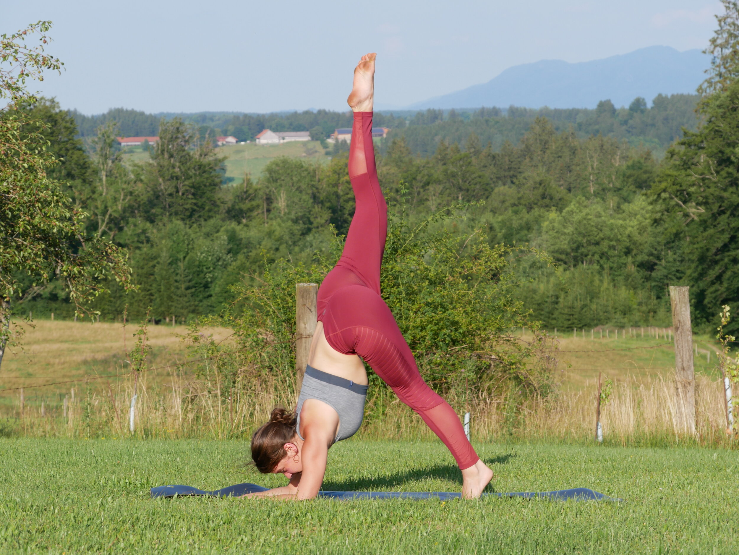 Pincha Mayurasana.JPG