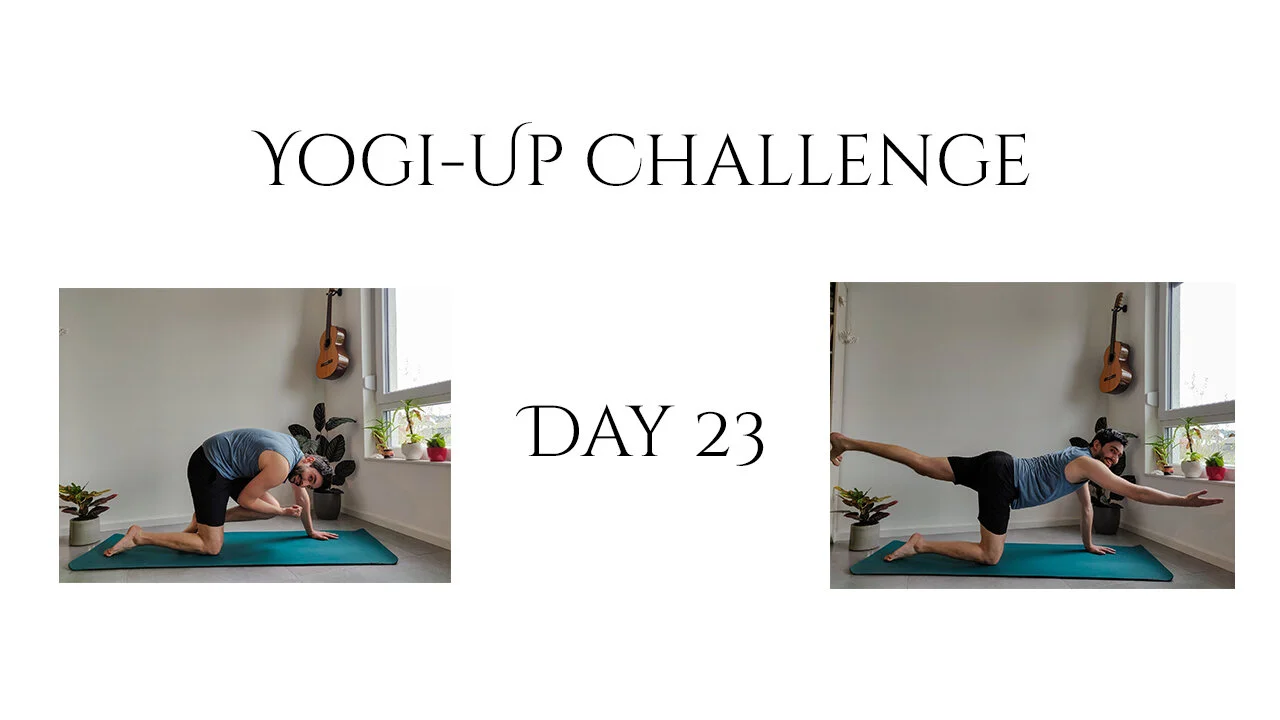 Tag 23 - Marjaryasana