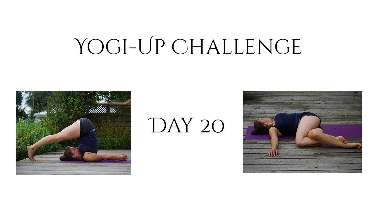 Tag 20 - Inversionen &amp; Drehungen