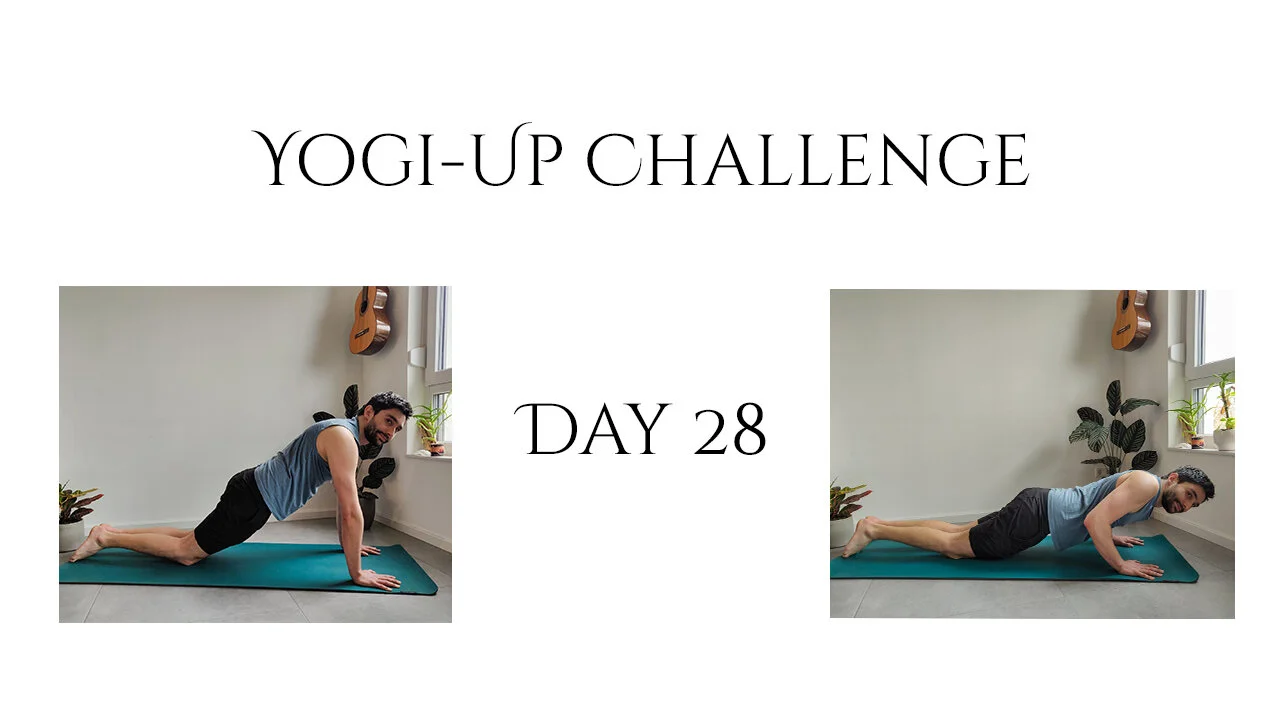 Tag 28 - Chaturanga
